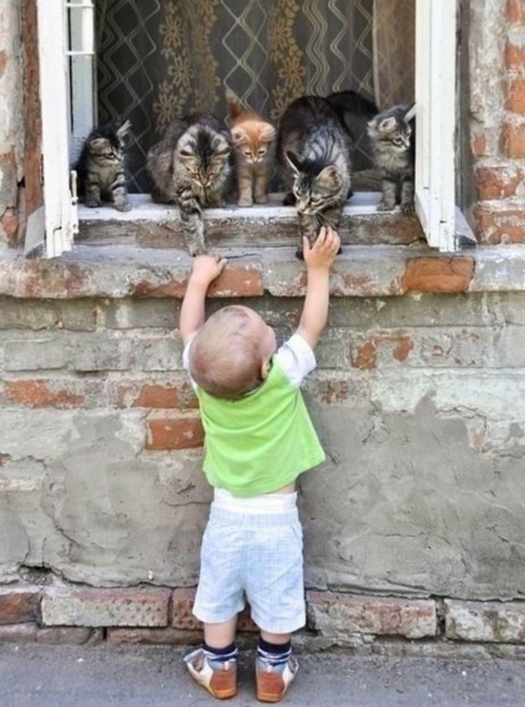 Забавные дети и животные