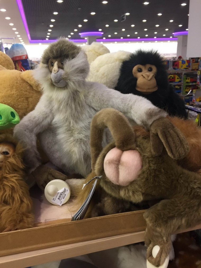 Шутки развлечения