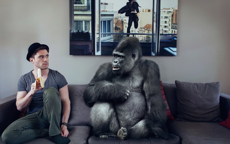 Креативный юмор