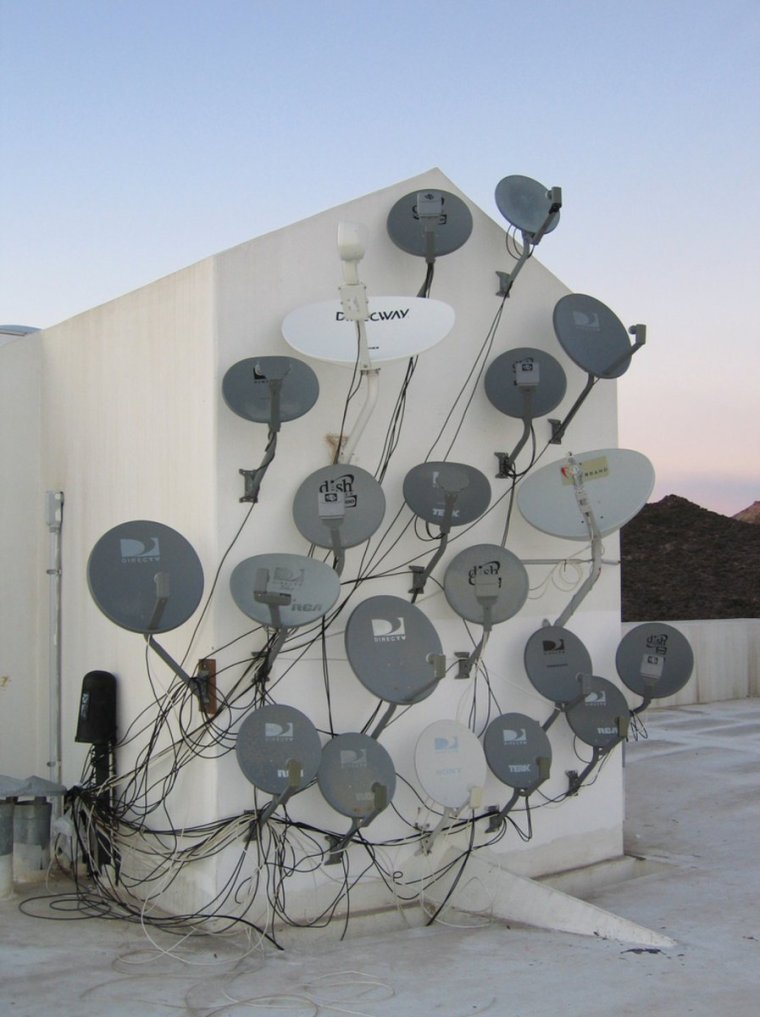 Кот и спутниковая тарелка