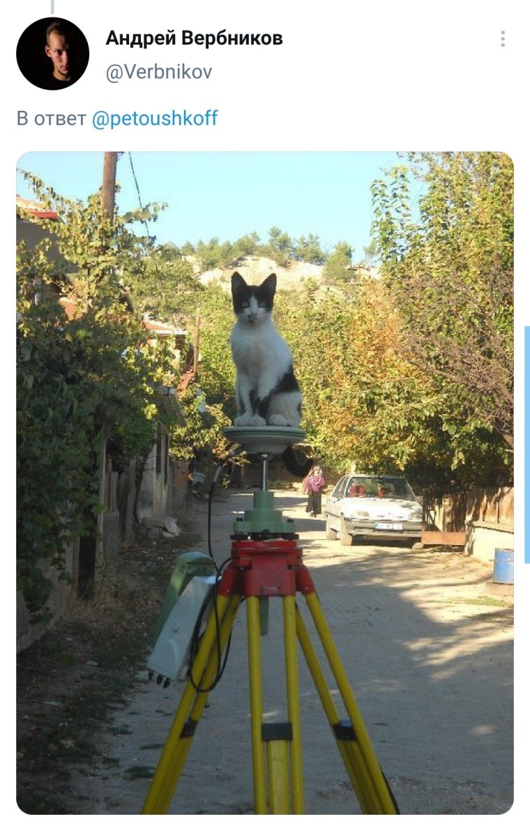 Котик геодезист
