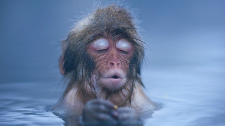 Горячая вода прикол