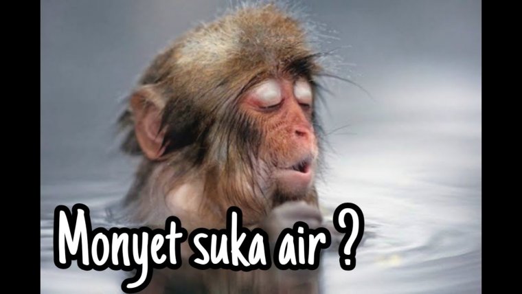 Дали горячую воду