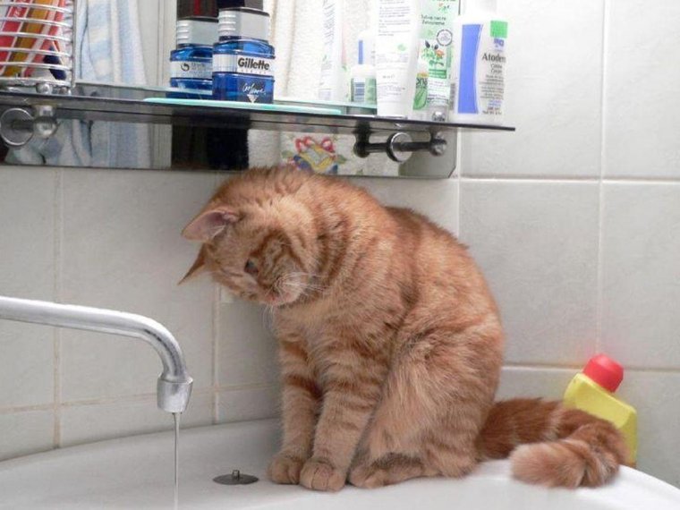 Отключение горячей воды приколы