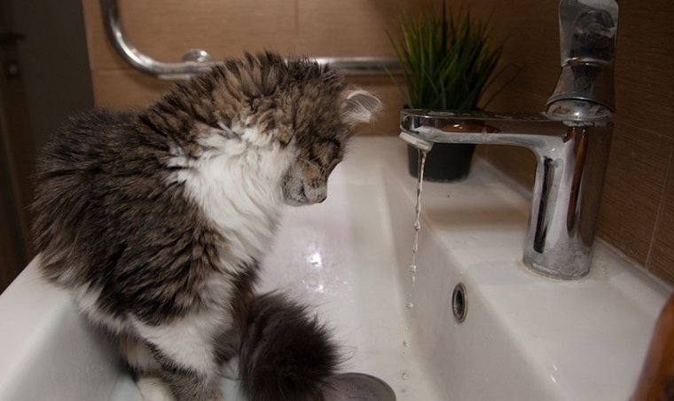 Отключили воду