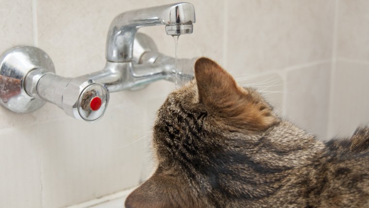 Кран для горячей воды