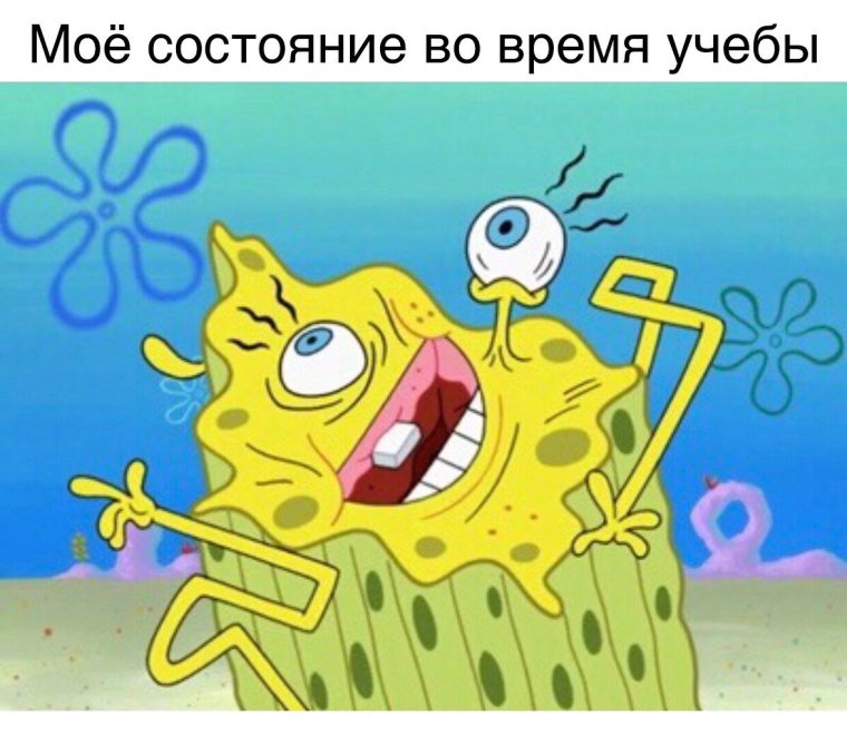 Губка Боб гримасы