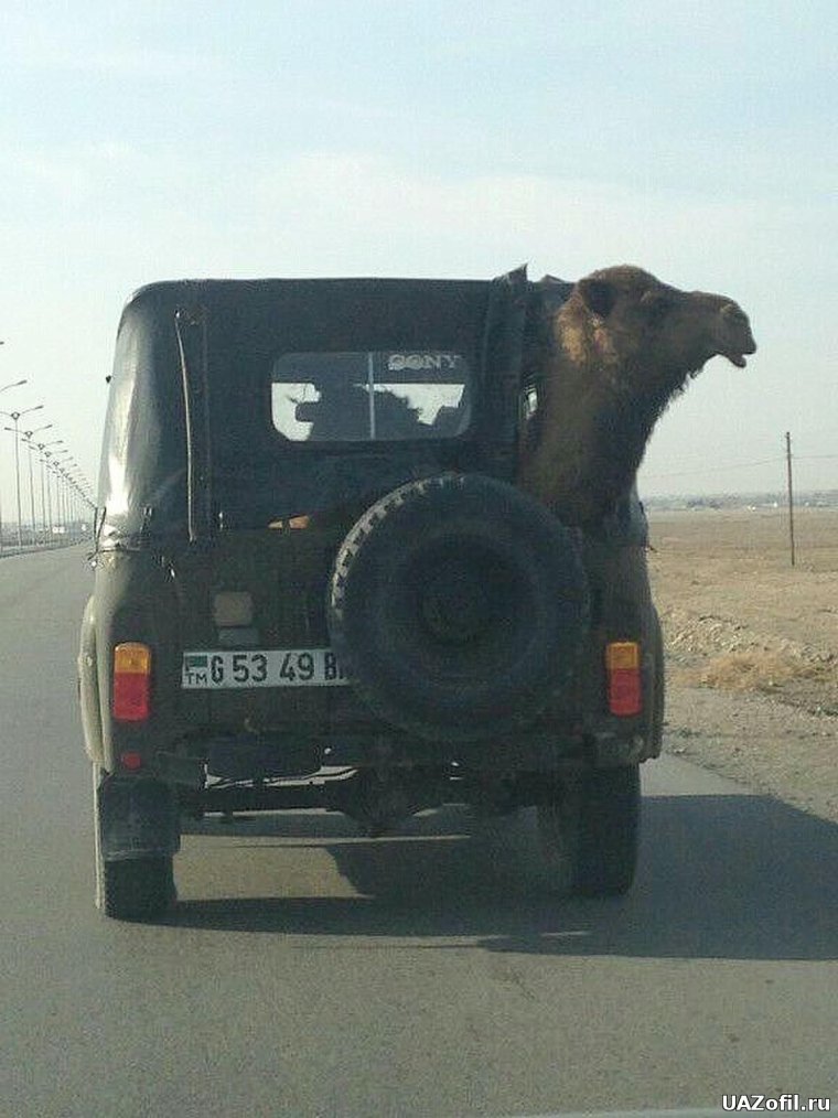 Автомобиль Мем