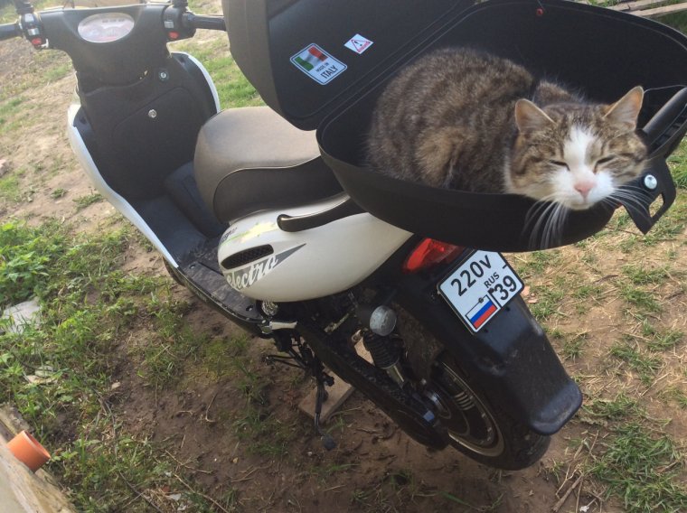 Смешные номера на скутер