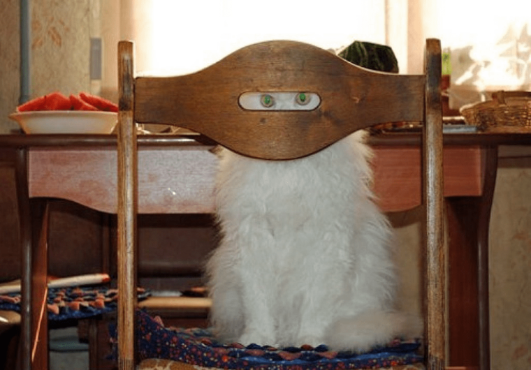 Спрятался юмор