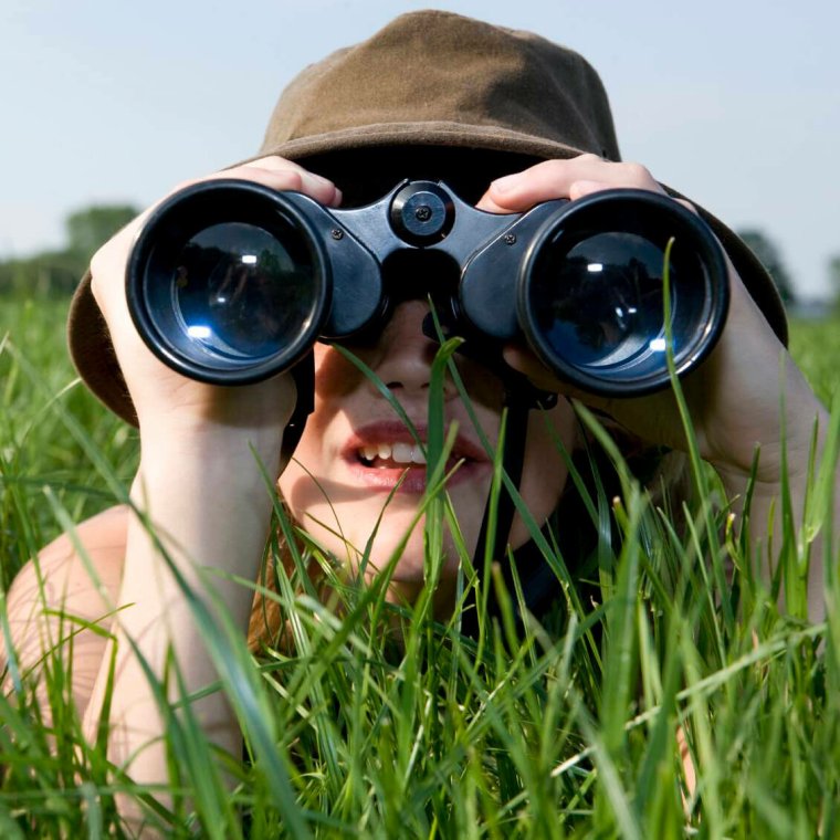 Бинокль в лесу