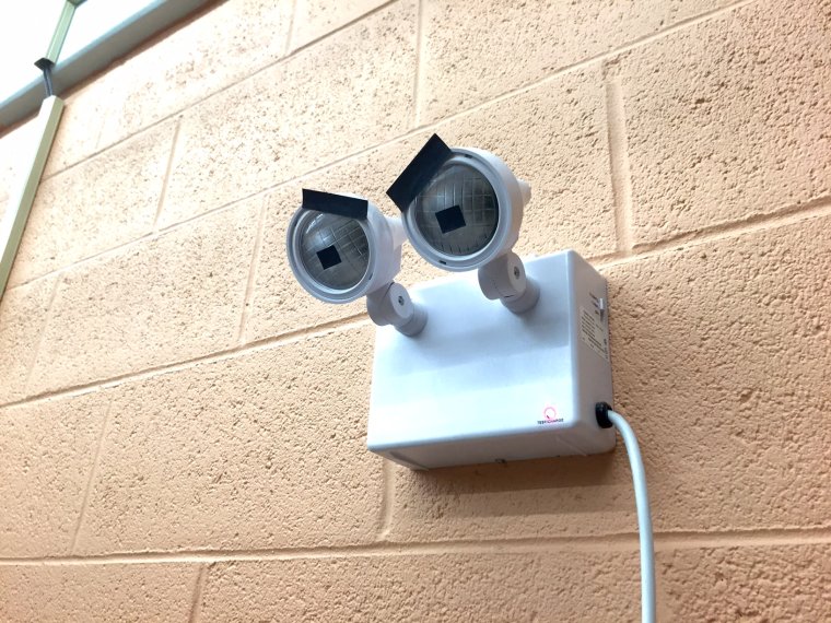 Прикольные камеры видеонаблюдения