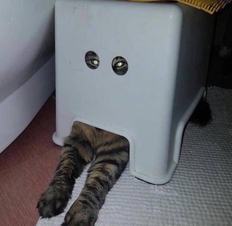 Я Слежу за тобой