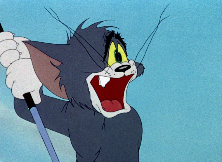 Кот том без зубов