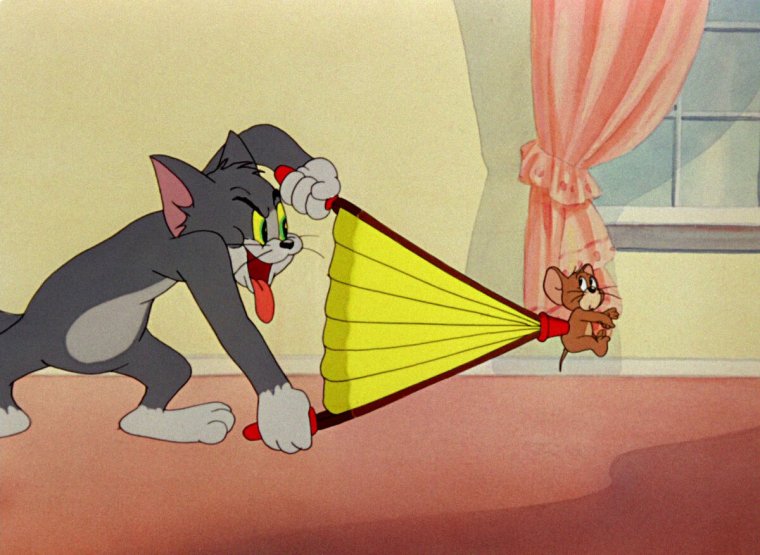 Tom Jerry мультфильм