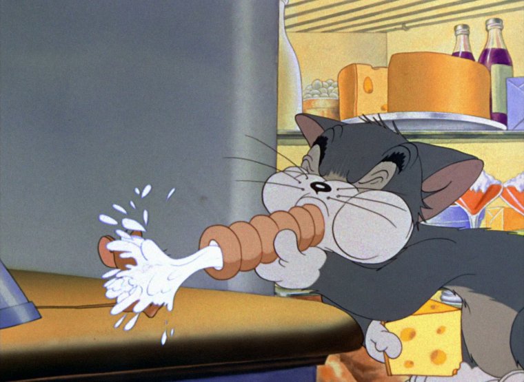 Толстый кот том