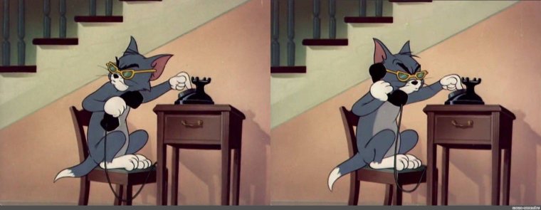 Кот том звонит