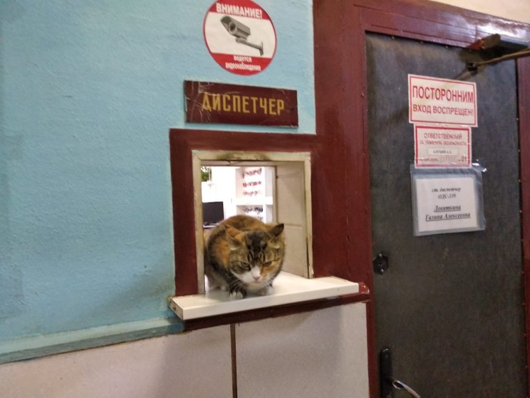 Диспетчер смешные картинки