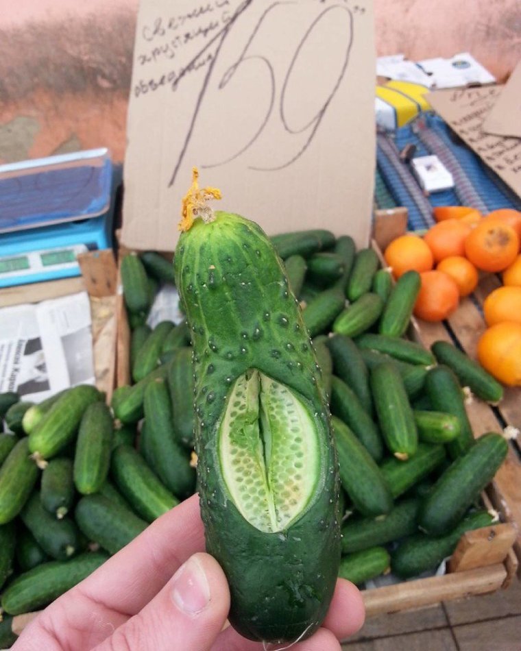 Огурец прикол