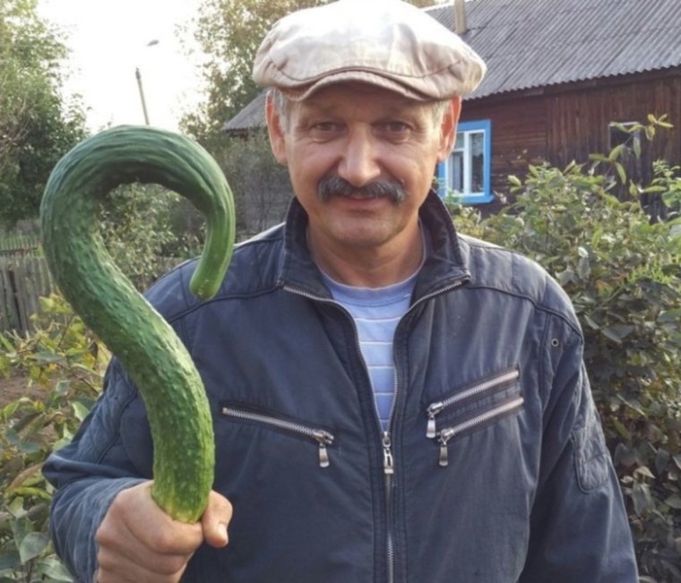 Кривой огурец