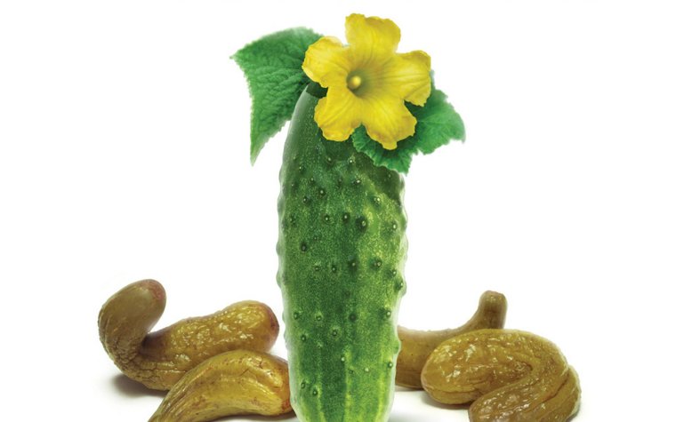 Огурчик прикольный