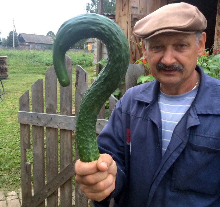 Александр ШЛЯПИК Ростовская шпана