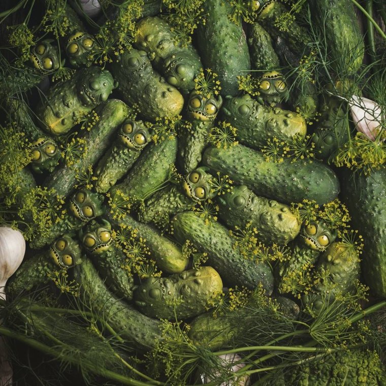 Живой огурец