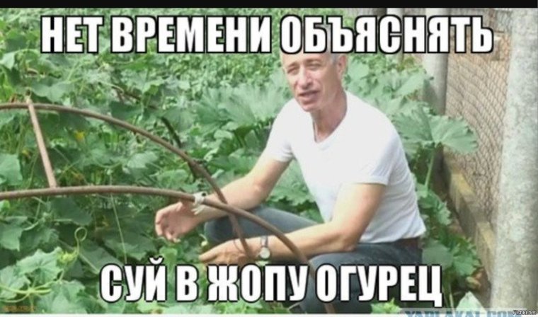 Доктор Попов огурец
