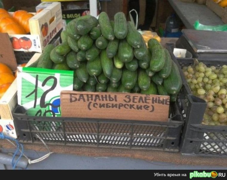Огурцы юмор