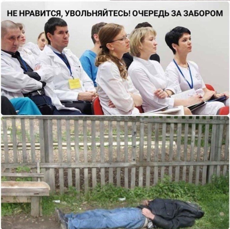 Очередь за забором прикол