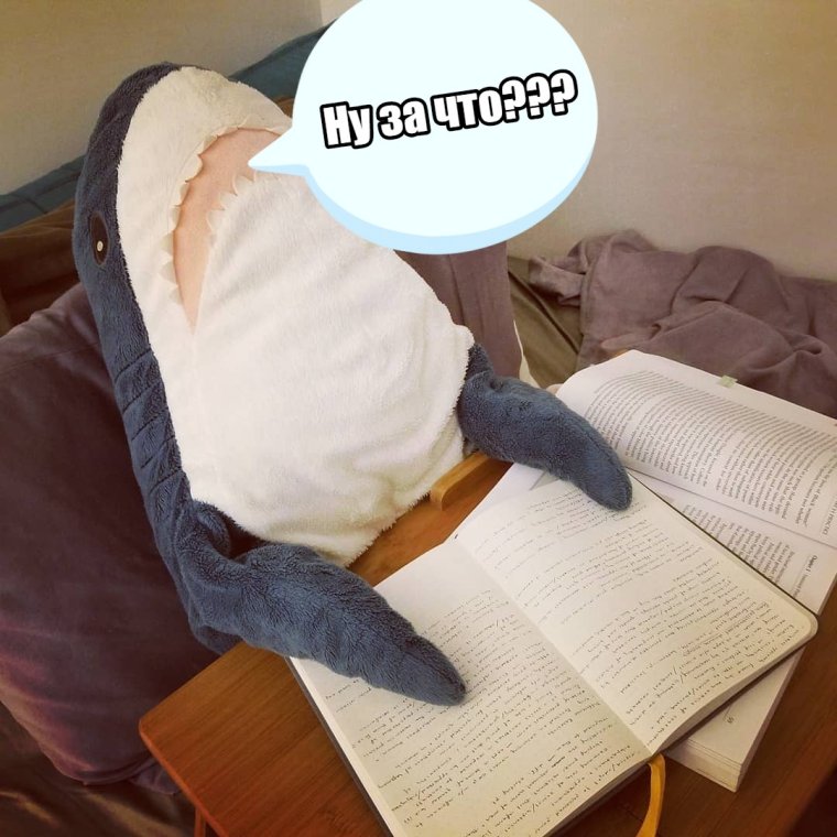 Утро студента картинки