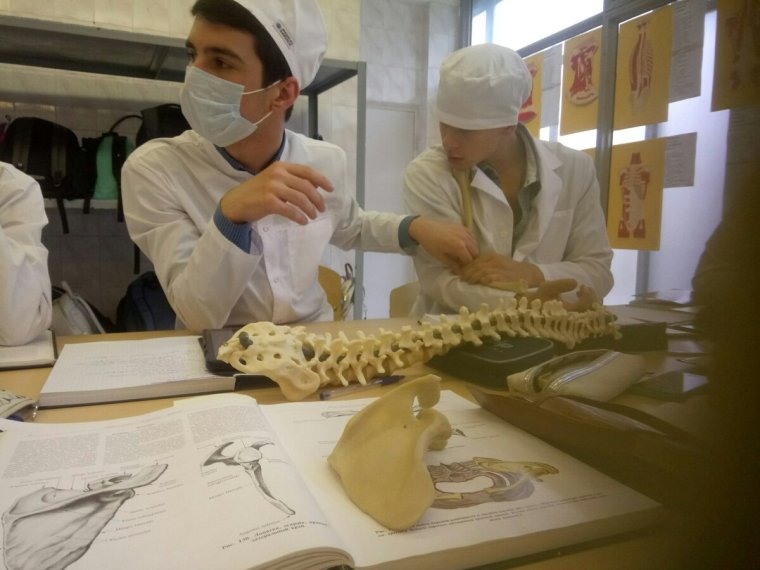 Будни студентов медиков