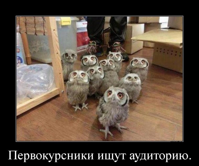 Совята первокурсники