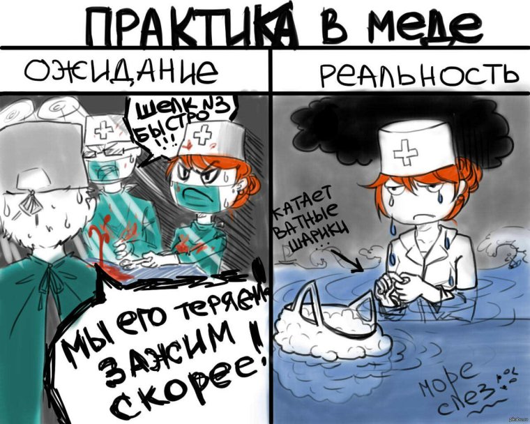 Шутки про студентов медиков