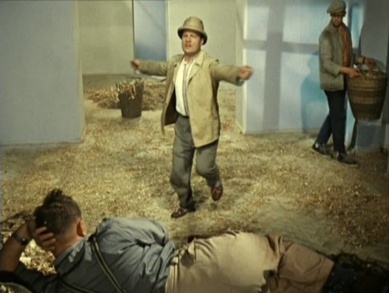 Смешные цитаты про день рождения