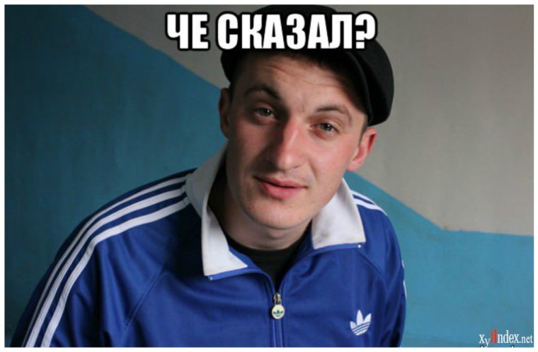 Светлаков диванный эксперт