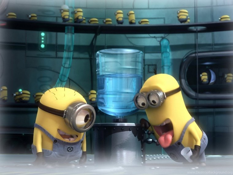 Миньоны пьют