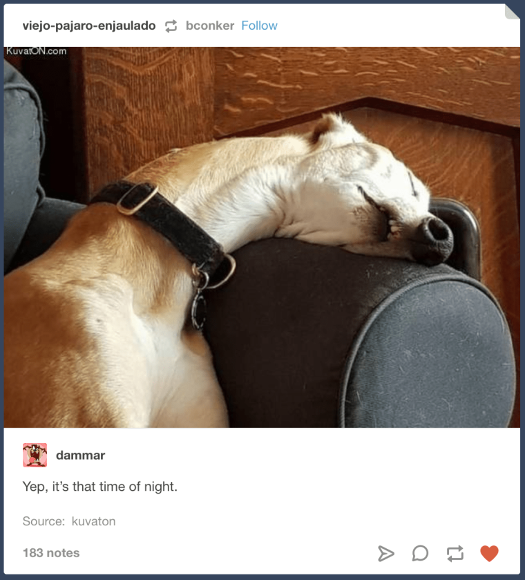 Приколы про храпящего мужа