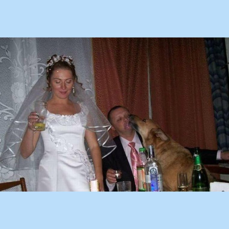 Свадьба алкоголиков