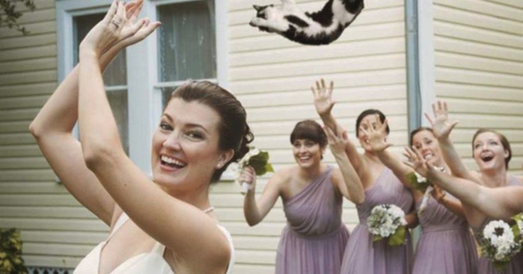Невеста и подружки невесты прикол