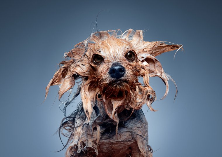 Креативная реклама