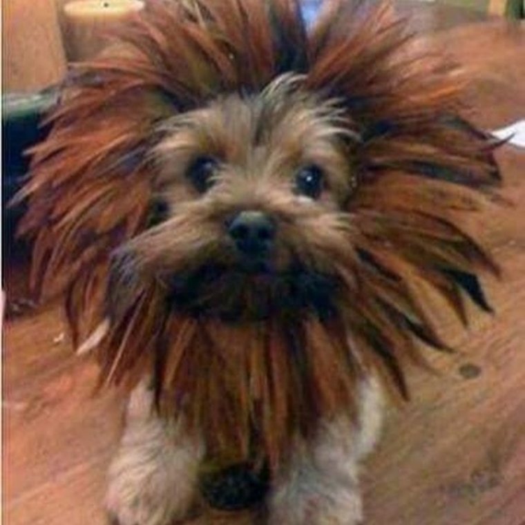 Страшный Йорк