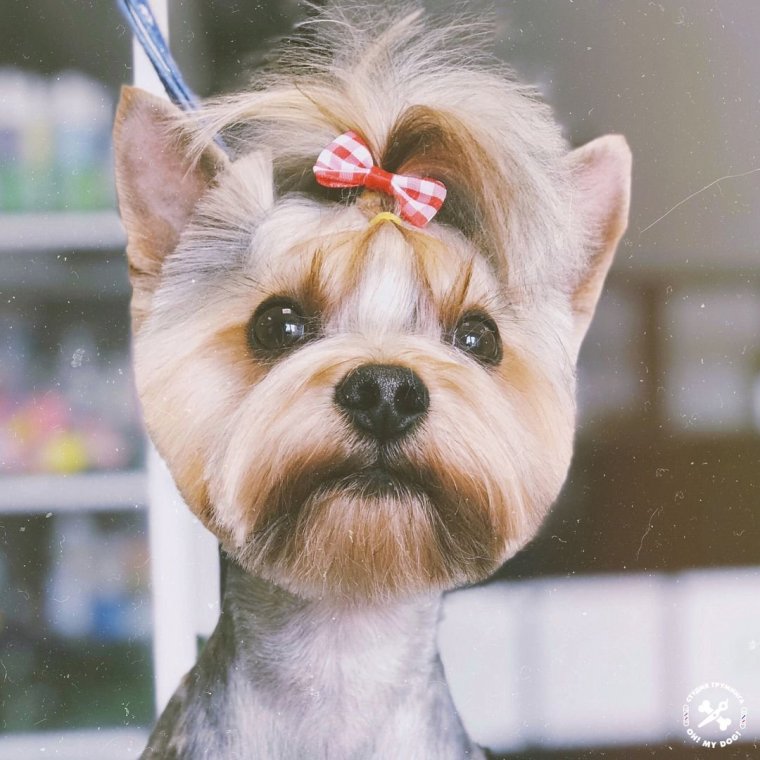 Грумер Галина Алексеева