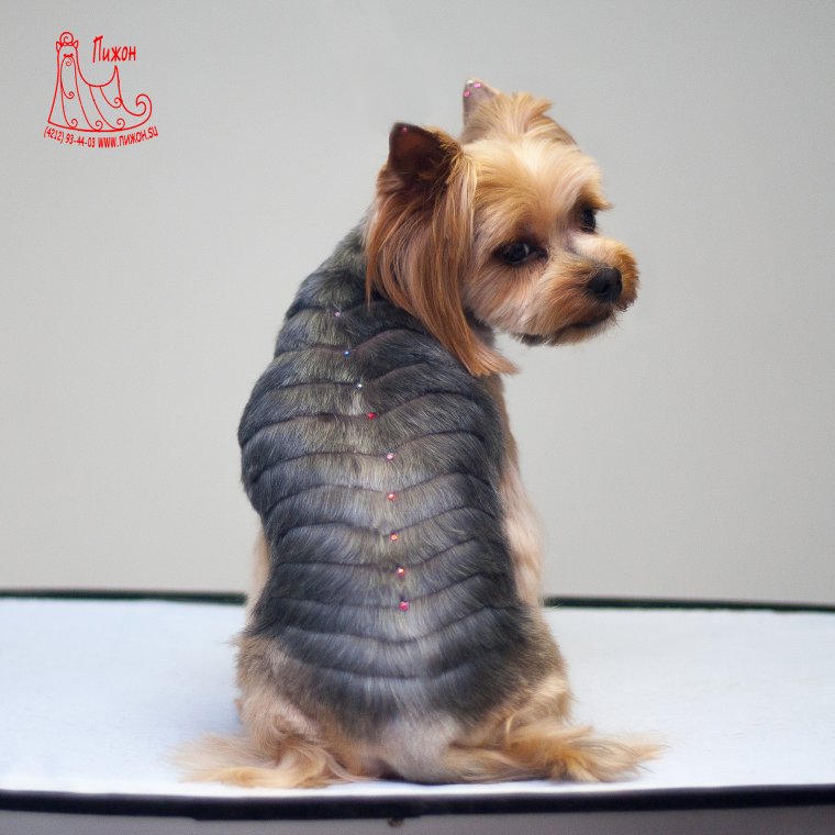 Стрижка Йорка Каскад