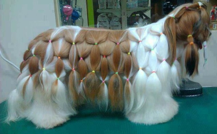 Стрижка Йорка в корейском стиле