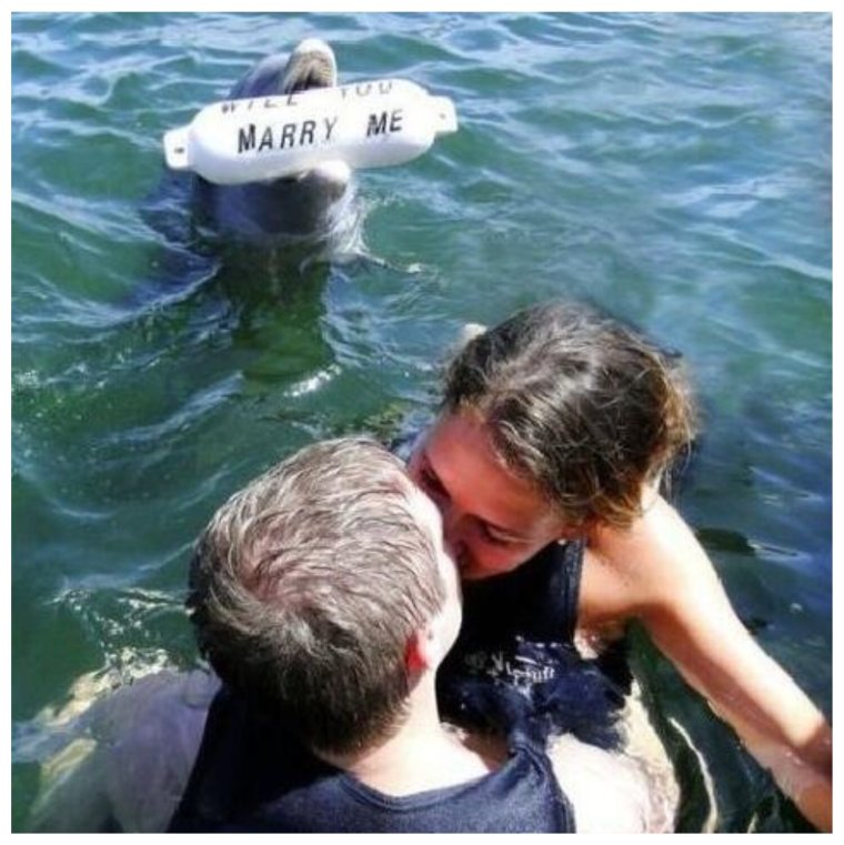 Необычное предложение руки и сердца