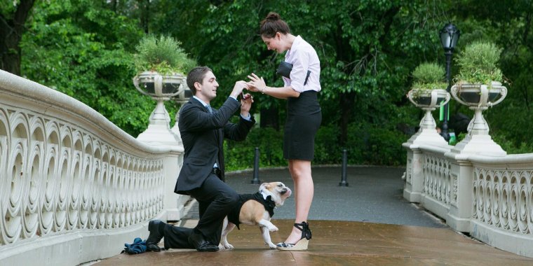 Предложение руки в парке