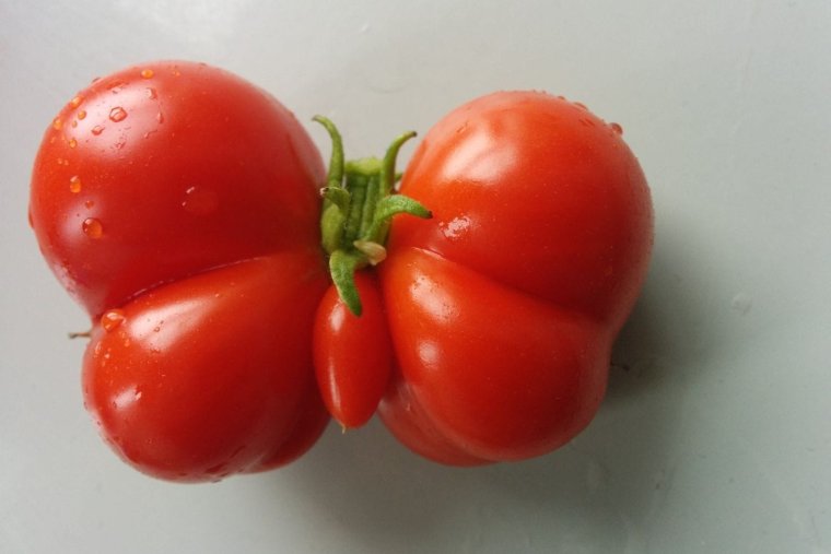 Необычные овощи