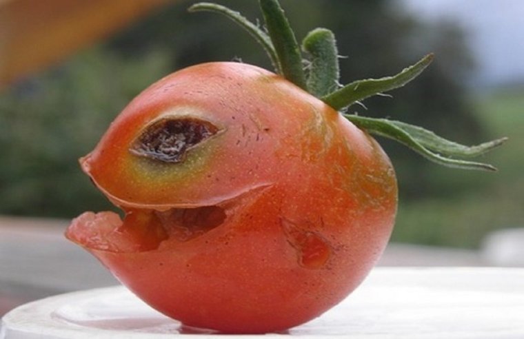 Смешные фрукты