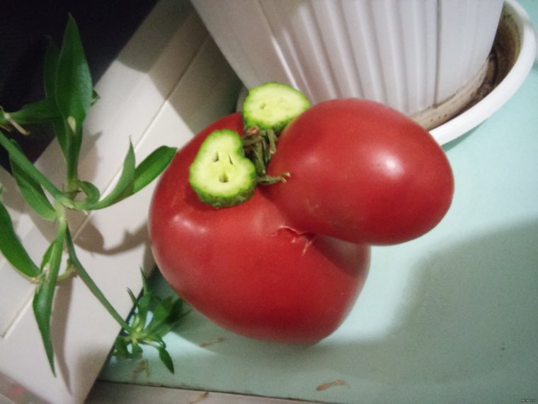 Прикольный помидор